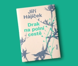 Drak na polní cestě