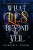 What Lies Beyond the Veil - Harper L. Woods