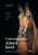 Zdraví koně - Praktická příručka - Ingolf Bender,Dr. Ritter Tina