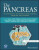 The Pancreas: An Integrated Textbook of Basic Science, Medicine, and Surgery - Hans G. Beger