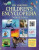 The Usborne Children´s Encyclopedia: New Edition:With 150 QR Links and over 650 Internet Links (Defekt) - kolektiv autorů