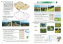 Vlastivěda 4, Poznáváme naši vlast – pracovní sešit, Čtení s porozuměním (2. vydání) 4
