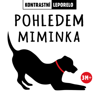 Pohledem miminka - kolektiv autorů