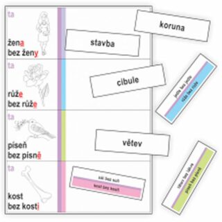 Vzory podstatných jmen - kartičky k procvičování třídění slov podle vzorů podstatných jmen - Jitka Rubínová