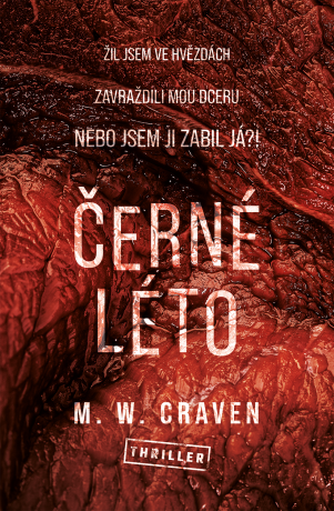 Černé léto (Defekt) - M. W. Craven