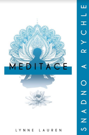 Meditace: snadno a rychle - Lynne Laurenová