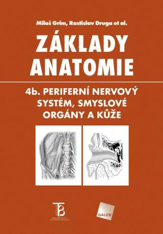 Základy anatomie 4b - Periferní nervový systém, smyslové orgány a kůže - Miloš Grim,Rastislav Druga