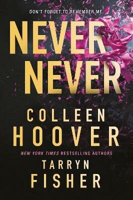Never Never (Defekt) - Colleen Hooverová,Tarryn Fisherová