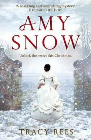 Amy Snow: The Richard & Judy Bestseller (Defekt) - Tracy Rees