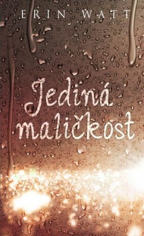 Jediná maličkost - Erin Wattová