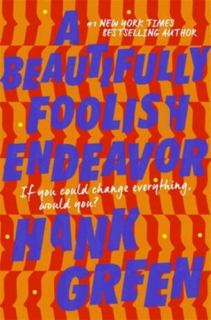 A Beautifully Foolish Endeavor - Hank Green