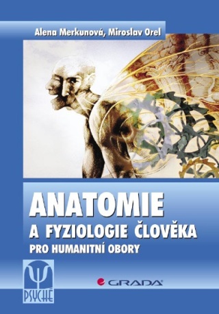 Anatomie a fyziologie člověka - Miroslav Orel,Alena Merkunová