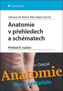 Anatomie v přehledech a schématech - Elke Lütjen-Drecoll,Johannes W. Rohen