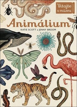 Animálium - Katie Scott,Jenny Broomová