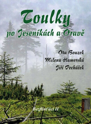 Toulky po Jeseníkách a Oravě - Ota Bouzek,Jiří Pecháček,Hamerská Milena