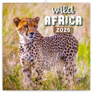 Kalendář 2025 poznámkový: Divoká Afrika, 30 × 30 cm - neuveden