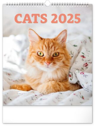Kalendář 2025 nástěnný: Kočky, 30 × 34 cm - neuveden