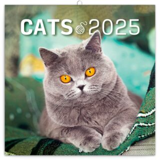 Kalendář 2025 poznámkový: Kočky, 30 × 30 cm - neuveden