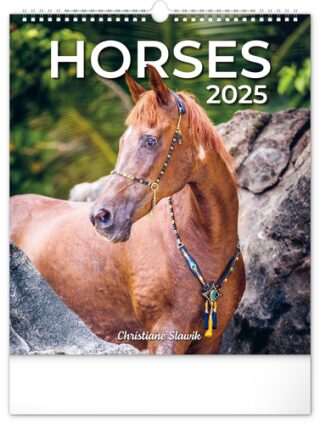 Kalendář 2025 nástěnný: Koně, 30 × 34 cm - neuveden