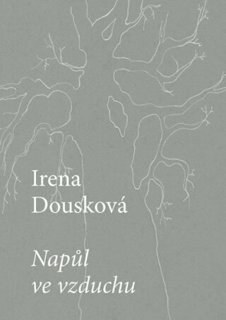 Napůl ve vzduchu - Irena Dousková