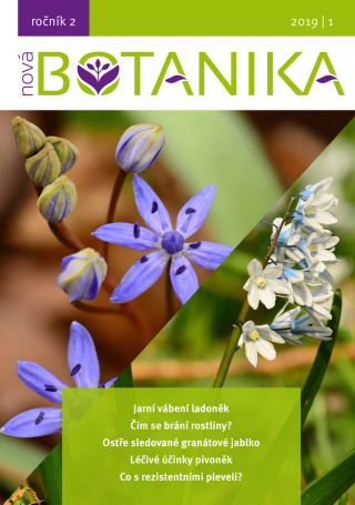 Nov? Botanika - Botanica Nova, z.s. a kolektiv autor? - e-kniha