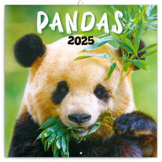 Kalendář 2025 poznámkový: Pandy, 30 × 30 cm - neuveden