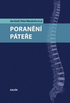 Poranění páteře - Peter Wendsche,Ján Kočiš