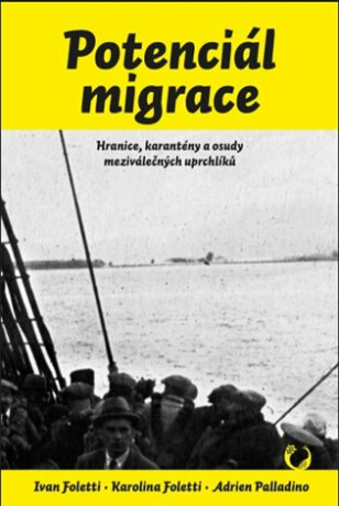 Potenciál migrace - Ivan Foletti,Adrien Palladino,Karolina Foletti