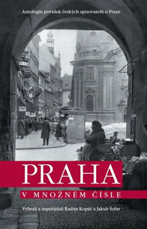 Praha v množném čísle (Defekt) - Radim Kopáč,Jakub Šofar