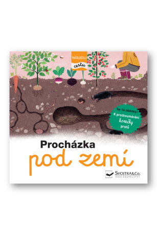 Procházka pod zemí - následuj cestu - Julie Faulques,Élisabeth de Lambilly