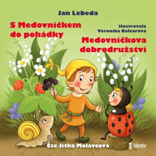 S Medovníčkem do pohádky a Medovníčkova dobrodružství - Jan Lebeda