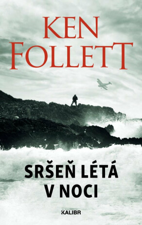 Sršeň létá v noci - Ken Follett