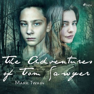 The Adventures of Tom Sawyer - Mark Twain