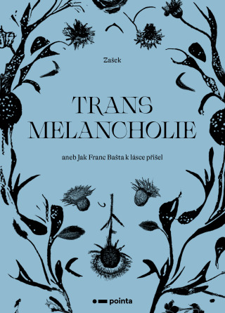 Transmelancholie -  Zašek