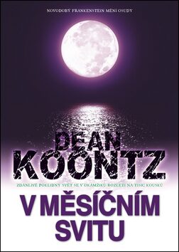 V měsíčním svitu - Dean Koontz