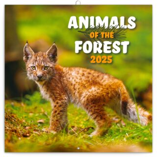 Kalendář 2025 poznámkový: Zvířátka z lesa, 30 × 30 cm - neuveden