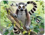 3D MAGNET-Lemur - 