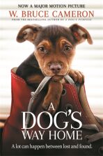 A Dog's Way Home : The Heartwarming Story of the Special Bond Between Man and Dog - W. Bruce Cameron