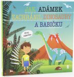 Jak Adámek zachránil dinosaury a babičku - Dětské knihy se jmény - 