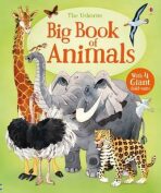 The Usborne Big Book Of Big Animals - 