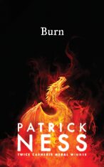 Burn (Defekt) - Patrick Ness