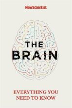 The Brain : Everything You Need to Know - 