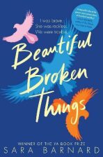 Beautiful Broken Things (Defekt) - Sara Barnardová