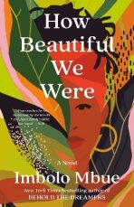 How Beautiful We Were : A Novel - 
