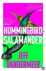 Hummingbird Salamander - 