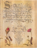Zápisník Paperblanks - Flemish Rose - Ultra linkovaný - 
