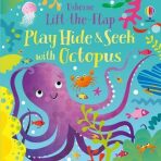 Play Hide and Seek with Octopus - 