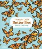 The Secret Life of Butterflies - Rena Ortega