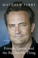Friends, Lovers and the Big Terrible Thing (Defekt) - Matthew Perry