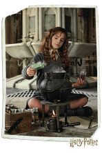Plakát Harry Potter - Hermione Granger - 